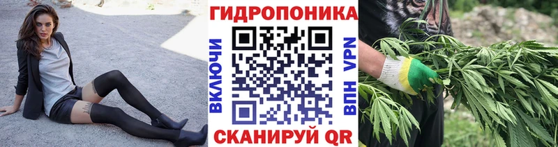 Купить закладку Alpha PVP  Меф  ГАШ  COCAIN  Пустошка