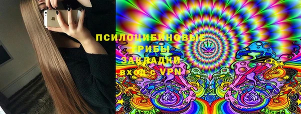 спайс Ельня