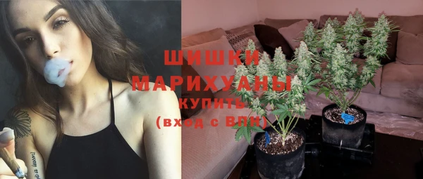 трава Елизово