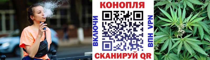 Шишки марихуана Amnesia  Купить закладки  Пустошка 